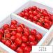  cherry Sato . Yamagata prefecture production .. for gift own agriculture . cultivation 700g L size reservation commodity 