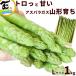  спаржа Yamagata префектура производство утро .. спаржа 1kg L размер (200g×5 пачка )aspala......