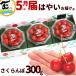  вишня Yamagata производство вишня 5 месяц .... Sato .300g(100g×3 упаковка ) превосходящий товар L размер роза .