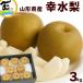[SALE/10% скидка ] груша Yamagata префектура производство . вода груша 3kg превосходящий товар 8~11 шар мир груша фрукты фрукты ..ju-si-........ для подарок 