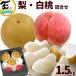 [SALE/10% скидка ] Yamagata префектура производство белый персик груша подарок набор превосходящий товар 1.5kg белый персик 2 шар мир груша 3 шар . вода . вода подарок на Bon Festival жара средний видеть Mai ... для фрукты 