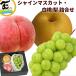 [SALE/10% скидка ] фрукты подарок набор Yamagata префектура производство автомобиль in мускат 1.500g белый персик 1 шар 300g груша 1 шар 300g превосходящий товар виноград персик мир груша подарок на Bon Festival ..