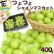 [ распродажа / остаток всего лишь ] обычный 3,800 иен виноград Yamagata префектура производство .... автомобиль in мускат круг превосходящий товар 400g (200g×2 упаковка ) * шарик только товар..