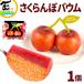  подарок популярный YAMAGATA FRUITS BAUM вишня 1 шт баумкухен Yamagata кондитерские изделия ваш заказ земля производство День отца День матери Valentine White Day 