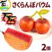  подарок популярный YAMAGATA FRUITS BAUM вишня 2 шт баумкухен Yamagata кондитерские изделия ваш заказ земля производство День отца День матери Valentine White Day 