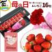  День матери подарок подарок Miyagi префектура производство клубника .....16 шарик гвоздика живые цветы 1 шт. красный цветок фрукты комплект праздник 