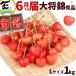  вишня Yamagata префектура производство большой ..1kg(500g×2P) L размер превосходящий товар роза ... для подарок высококлассный фрукты подарок на Bon Festival праздник 