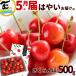  Yamagata префектура производство вишня ранний доставка Sato .500g L размер .... ранний .. сахар раз 