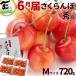  вишня Yamagata префектура производство Sato .. превосходящий .M размер 720g(180g×4P) роза .. круг превосходящий товар высококлассный подарок . для бытового использования подарок на Bon Festival высококлассный фрукты фрукты 