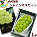  виноград бесплатная доставка Yamagata префектура производство автомобиль in мускат превосходящий товар 1. подарок для 600g