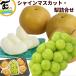 [SALE/10% скидка ] фрукты ... подарок Fukushima префектура производство автомобиль in мускат груша . вода превосходящий товар комплект виноград 500g. вода 4 шт подарок на Bon Festival лето подарок .. для 