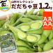 [SALE/10% скидка ] Yamagata selection Hakusan .... бобы A товар 600g×2 пакет ветка бобы .... Yamagata производство высококлассный чай бобы .. ваш заказ только лето .. тест подарок .. для 