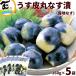  Yamagata префектура производство легкий кожа круг баклажан ..160g×5 пакет солености tsukemono баклажан ... местного производства рис. .. ваш заказ гурман лето овощи . земля баклажан старый магазин. тест 