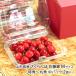  Yamagata префектура производство вишня Sato .M размер Special превосходящий ~ круг превосходящий средний упаковка 2 штук входит / Yamagata сельское хозяйство ./ бесплатная доставка 
