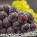  автомобиль in мускат * чёрный виноград каждый 1.* день доставки. . указание. не можем принять /Hinata виноград ./ бесплатная доставка 