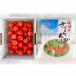  Yamagata префектура производство вишня Sato .2L размер 500g(500g×1 упаковка )/Kappy Farm/ бесплатная доставка 