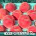 [ для бытового использования ] Yamagata префектура производство персик [ шар ...]2kg(6~8 шар )/ восток замок сельское хозяйство ./ бесплатная доставка 
