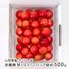  Yamagata префектура производство вишня Sato .M~L размер упаковка ..500g(500g×1 упаковка )/ дерево . фрукты / отсроченный платеж расчет не возможно / бесплатная доставка 