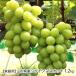 [ для бытового использования ] Yamagata префектура производство автомобиль in мускат 1.2kg(2~3.)/ дерево . фрукты / отсроченный платеж расчет не возможно / бесплатная доставка 