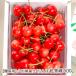 [.. для ] Yamagata префектура производство вишня . превосходящий .500g(500g×1 упаковка )/ каштан . фруктовое дерево ./ отсроченный платеж расчет не возможно / бесплатная доставка 