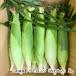  Yamagata префектура производство кукуруза [.. было использовано ]5kg(10~13шт.@)/ Nagaoka ферма / отсроченный платеж расчет не возможно / бесплатная доставка 