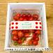  Yamagata префектура производство вишня Sato . упаковка 500g(500g×1 упаковка )/ITO FARM FRUIT/ отсроченный платеж расчет не возможно / бесплатная доставка 