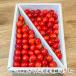  Yamagata префектура производство вишня . превосходящий . роза 1kg(1 коробка на 1kg)/ITO FARM FRUIT/ отсроченный платеж расчет не возможно / бесплатная доставка 