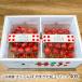  Yamagata префектура производство вишня ...... упаковка 400g(200g×2 упаковка )/ITO FARM FRUIT/ отсроченный платеж расчет не возможно / бесплатная доставка 