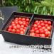  Yamagata префектура производство вишня ....( Special превосходящий )L размер и больше 1kg(500g×2 упаковка )* этот товар - роза ... / фрукты forest / отсроченный платеж расчет не возможно / бесплатная доставка 