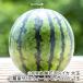  Yamagata префектура производство хвост цветок . арбуз большой шар [.. The * Suite ]4L размер и больше 1 шар /ARCO FARM/ отсроченный платеж расчет не возможно / бесплатная доставка 