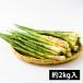  утро .. дикоросы маленький бамбук ( корень изгиб .) примерно 2kg