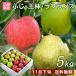  подарок по случаю конца года фрукты Yamagata la Франция & Fuji яблоко &amp;..5kg набор комплект бесплатная доставка 11 месяц последняя декада c отправка предположительно 