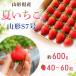  лето клубника Yamagata S7 номер 40~60 шарик примерно 600g Yamagata префектура производство лето осень клубника для бизнеса для бытового использования кондитерские изделия для прохладный рейс бесплатная доставка клубника 