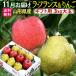  фрукты Yamagata. la Франция . Fuji яблоко 3kg набор комплект 11 месяц последняя декада c отправка предположительно 
