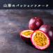  Yamagata prefecture production domestic production passionfruit M~2L size 8~12 sphere 8 month last third ~9 month middle . shipping 
