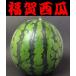 [ отгрузка средний ][ бесплатная доставка ][ Yamaguchi префектура ] удача . супер большой шар арбуз ( превосходящий Special * небо )X1 шт [1 АО 1. брать .][ запад .]* доставка отдельно, Tohoku 500 иен, Hokkaido 1000 иен * Okinawa, отдаленный остров не возможно *