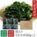 [ production person from direct delivery ] great popularity!! [. bargain ] raw . tortoise 500g ×2 piece set free shipping .... sea ... production domestic production raw . tortoise wakame seaweed 