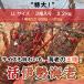 [. Исэ город море .] очень большой ~LL размер ~ 2kg *1 хвост на 600~800g×3 хвост море .* Исэ город море .*. Исэ город море .* Исэ город ..* лангуст 