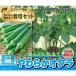 ata задний сельское хозяйство . фигурная скобка есть мягкость абельмош [ культивирование комплект овощи веранда compact начинающий предназначенный воспроизведение бумага посадочная машина ] 1 комплект 