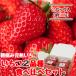  strawberry .. Miyagi mountain origin strawberry agriculture .2 goods kind meal . comparing set 250g×2 pack already ....... Berry .....
