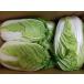  with translation Chinese cabbage 1 box 