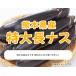  with translation Kumamoto prefecture production length eggplant 1 pcs 