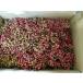  Ooita prefecture production new mono red zanthoxylum fruit 1kg