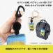 �y�h�N�^�[�C�G���[/�̂уp�X�z���˂���L�т�p�X�P�[�X �̂уp�X �b�i�q���C���F�� �i�q�����{���i�������� ���ˑf�� IC �d�� ���[�� ��� �S�� �V���� �֘A�摜3