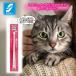  кошка . уход зубная щетка микро head товары для домашних животных кошка Chan кошка для животное чистка зубов зуб камень удаление зуб . удаление 