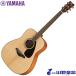 YAMAHA ƥå FG800 / NT02 ʥ