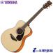 YAMAHA �A�R�[�X�e�B�b�N�M�^�[ FS800 / NT02 �i�`������