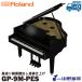 Roland electronic piano GP-9M-PES / black coating specular polishing painting finishing 