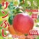  apple apple direct delivery from producing area sun ..5kg(12~16 sphere ) Nagano prefecture production Shinshu preeminence goods reservation preceding limitation gift present 
