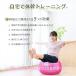 �o�����X�{�[�� 45cm 55cm 65cm 75cm ���K �s���e�B�X �t�b�g�|���v�t�� ��C���� �t�B�b�g�l�X �֎q �֘A�摜2